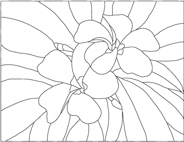 Plumeria-pdf-1024×791 | Best Stained Glass Patterns